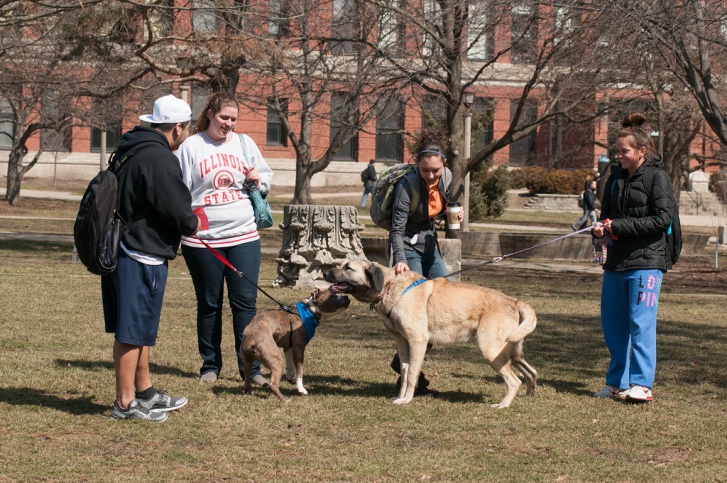 Students walk a dog on the Quad
