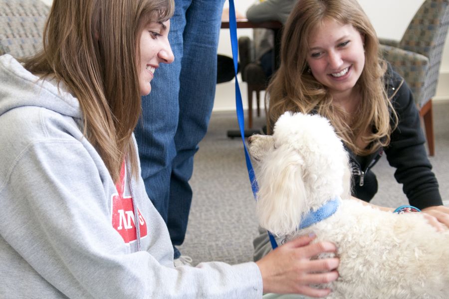 Students pet dogs at Milner Library