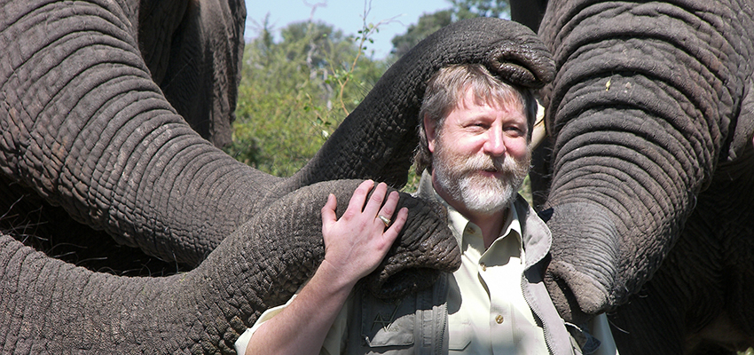 Michael Sailor with elephants