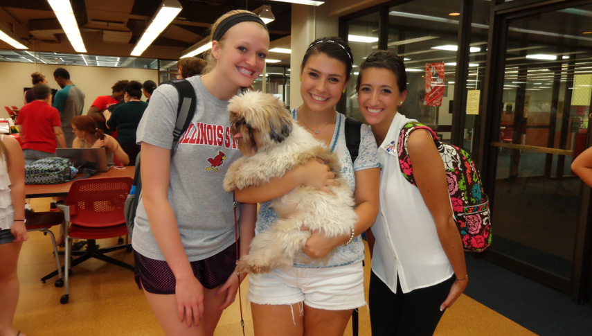 Students are all smiles posing with certified therapy dog George