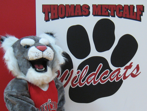 Metcalf school mascot