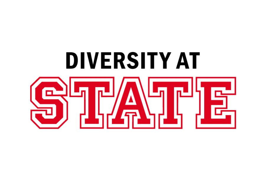 Diversity at State logo