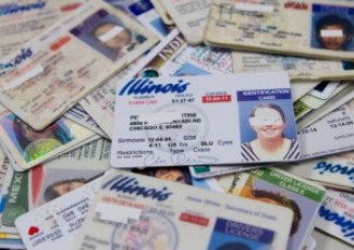 image of Illinois drivers licenses