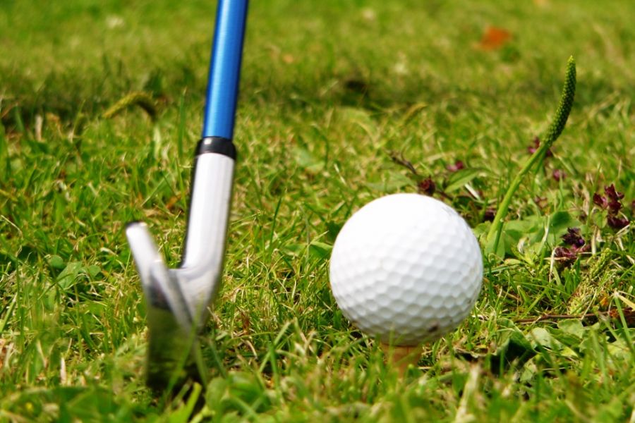 Golf ball and club in the grass.