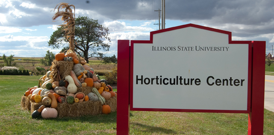image of Autumnal Festival at the Horticulture Center
