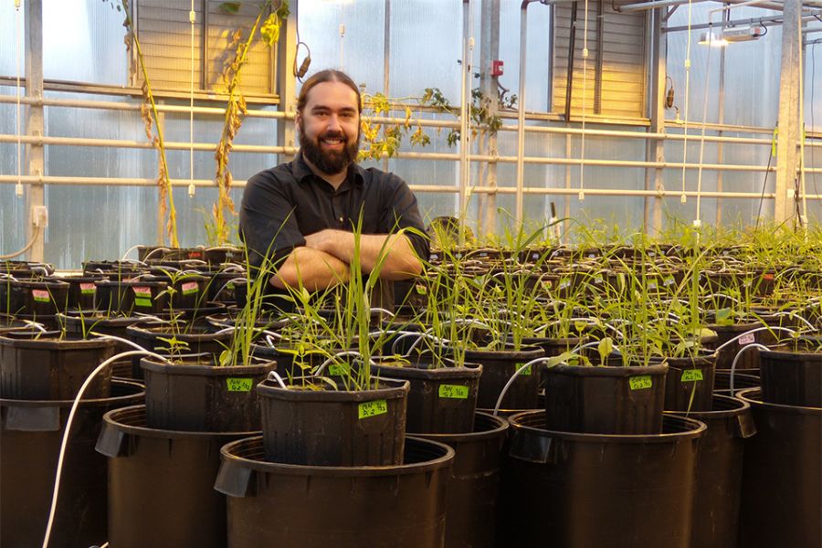 Jonathan Bauer with his prairie plants and soil microbes experiment