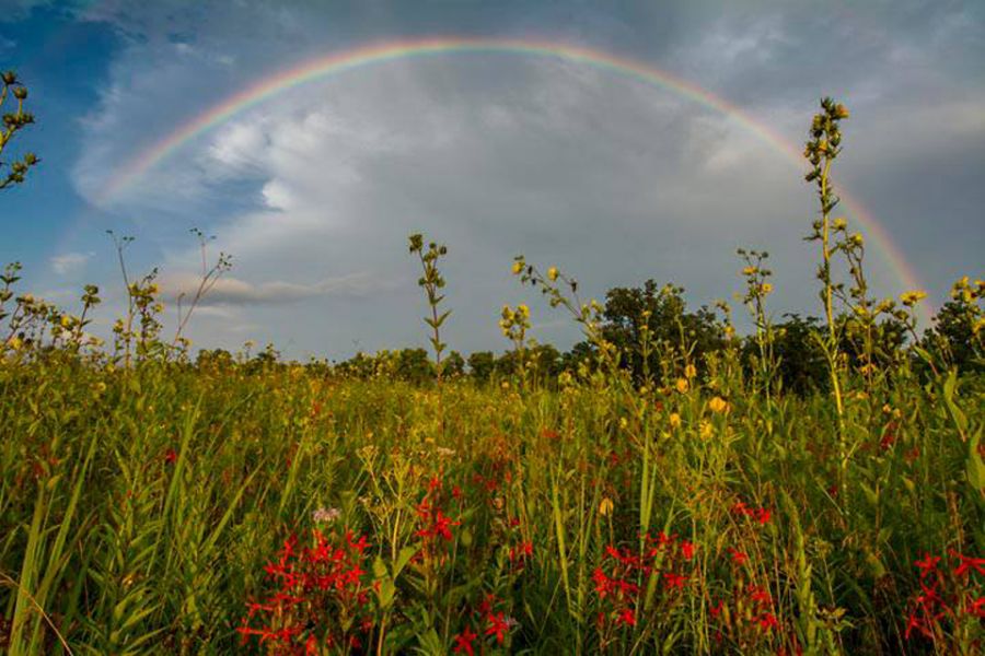 rainbow at prairie