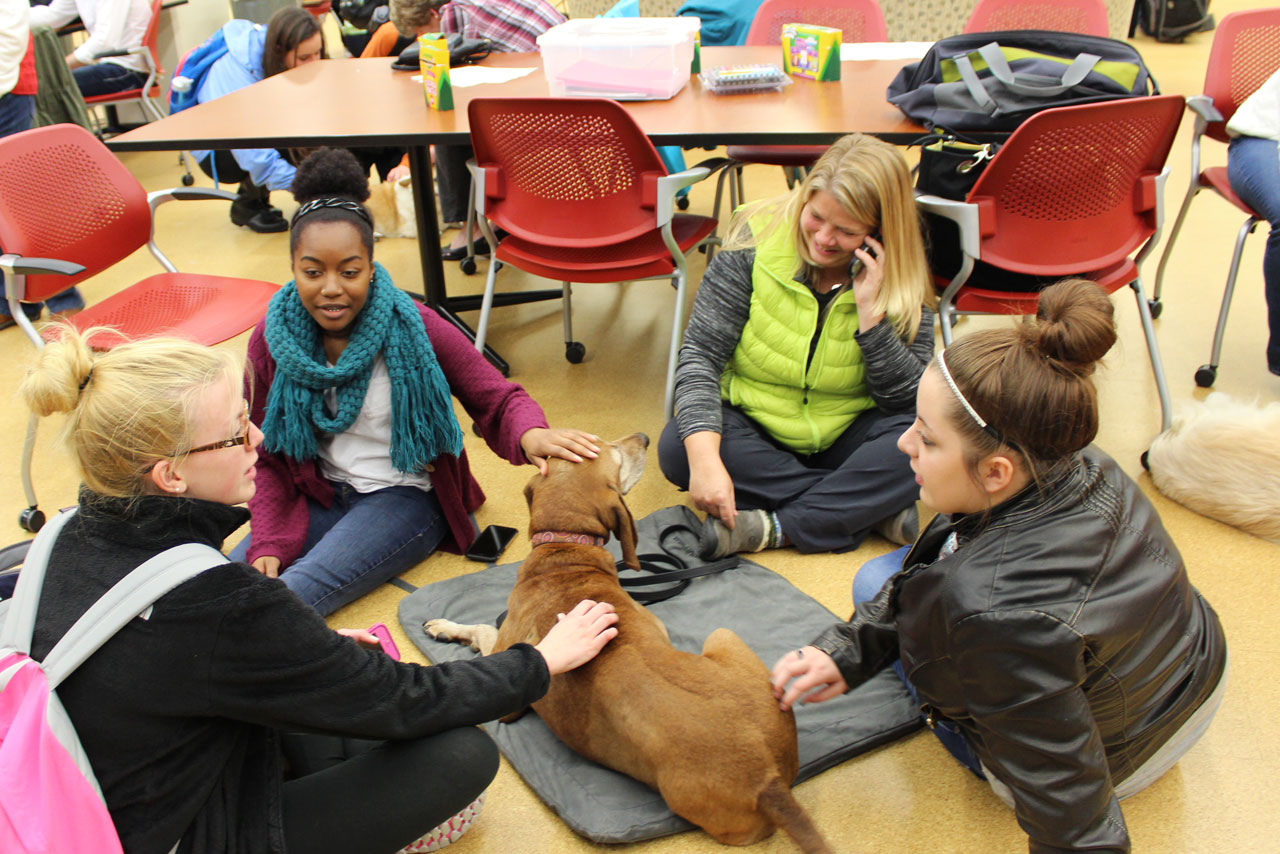 Therapy dog Sula and students