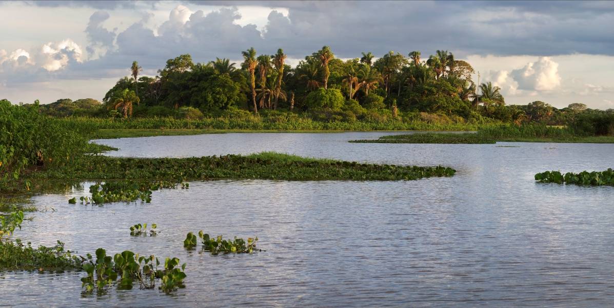 image of The Barba Azul Nature Reserve includes wetland, savannah and palm forest "island" habitats.