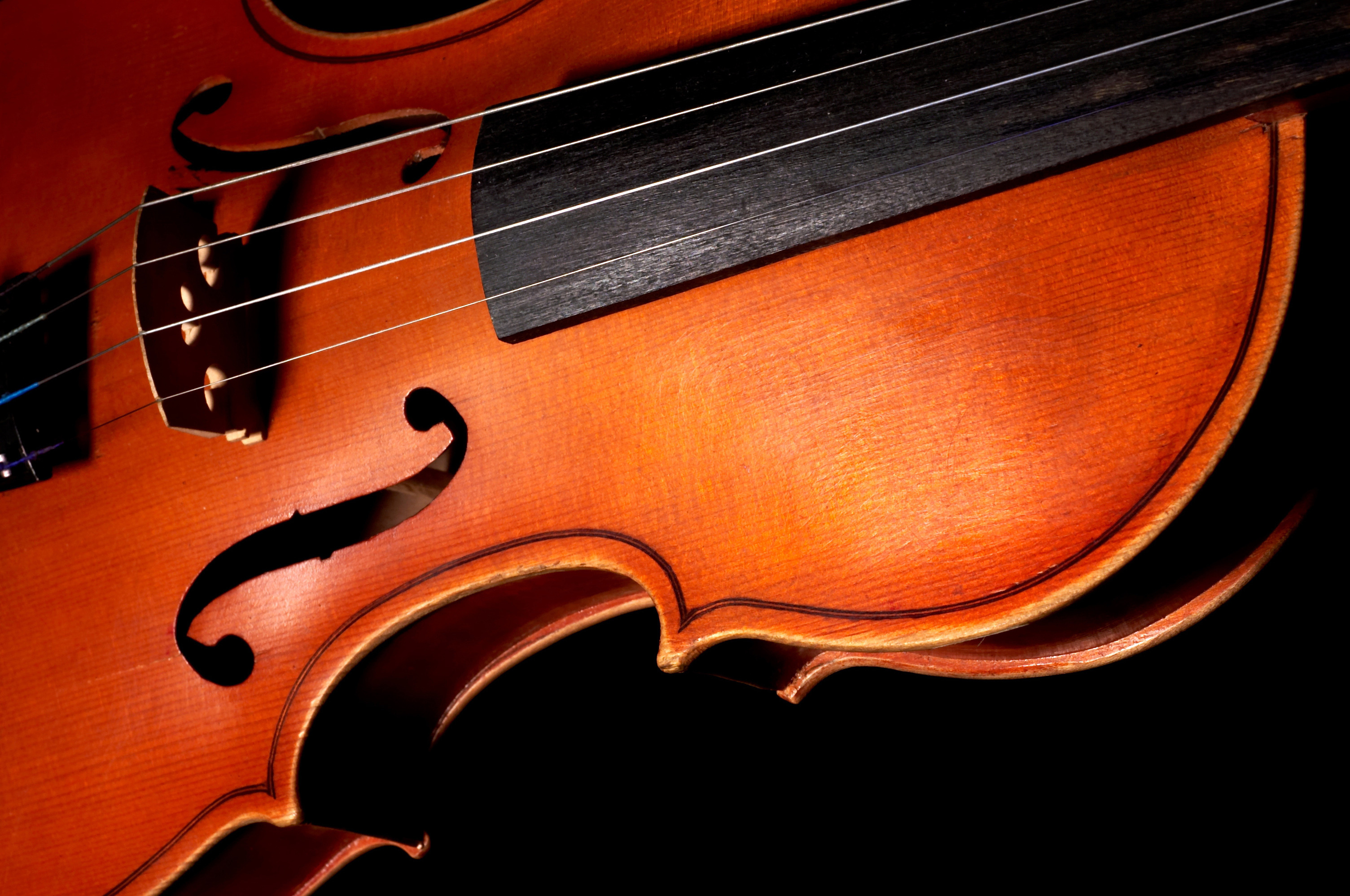 image of a violin