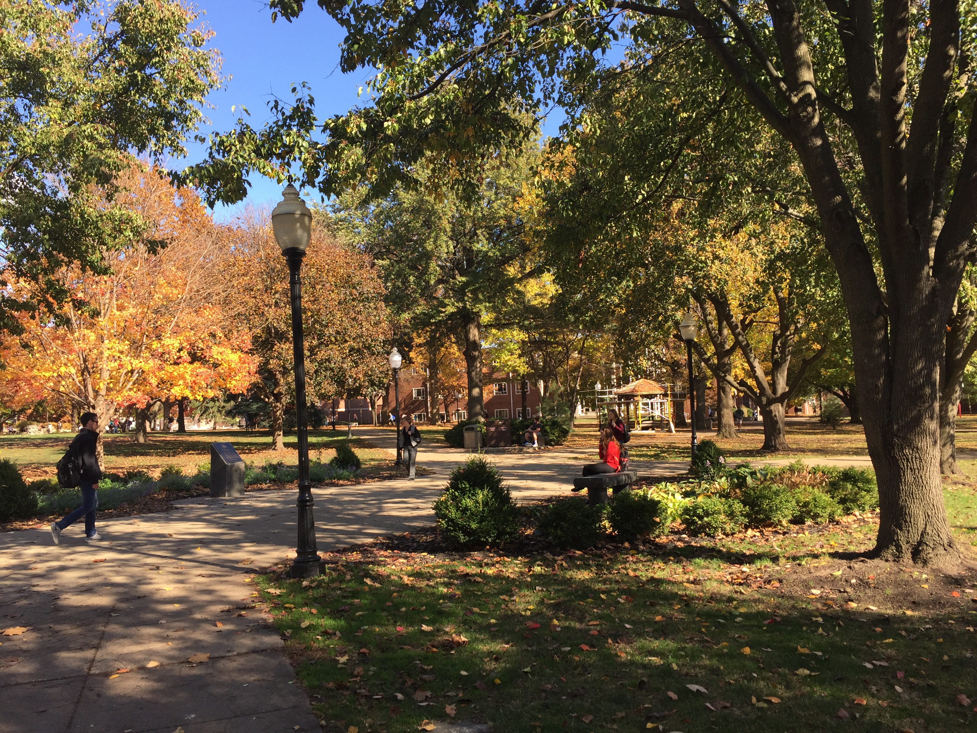 image of Quad in fall