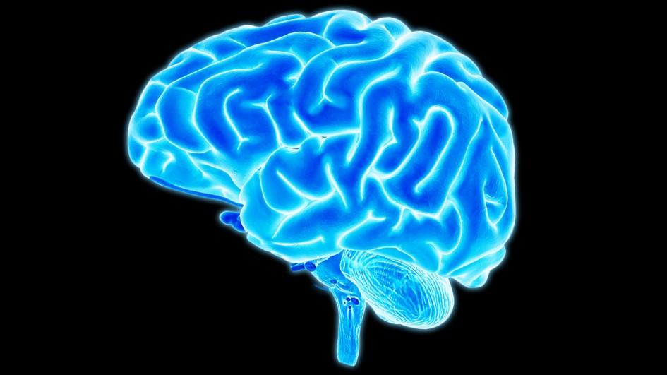 Photo illustration of a brain