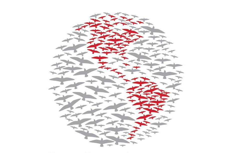 image for Global redbirds