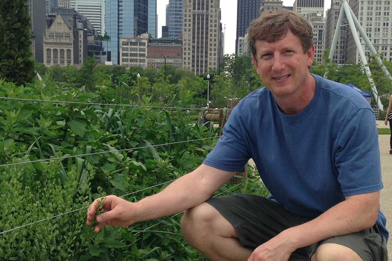Professor John Sedbrook with pennycress at Millenium Park in Chicago.