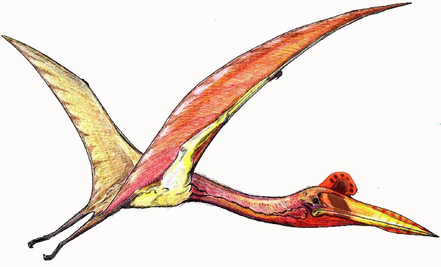 Image of a quetzalcoatlus winged dinosaur