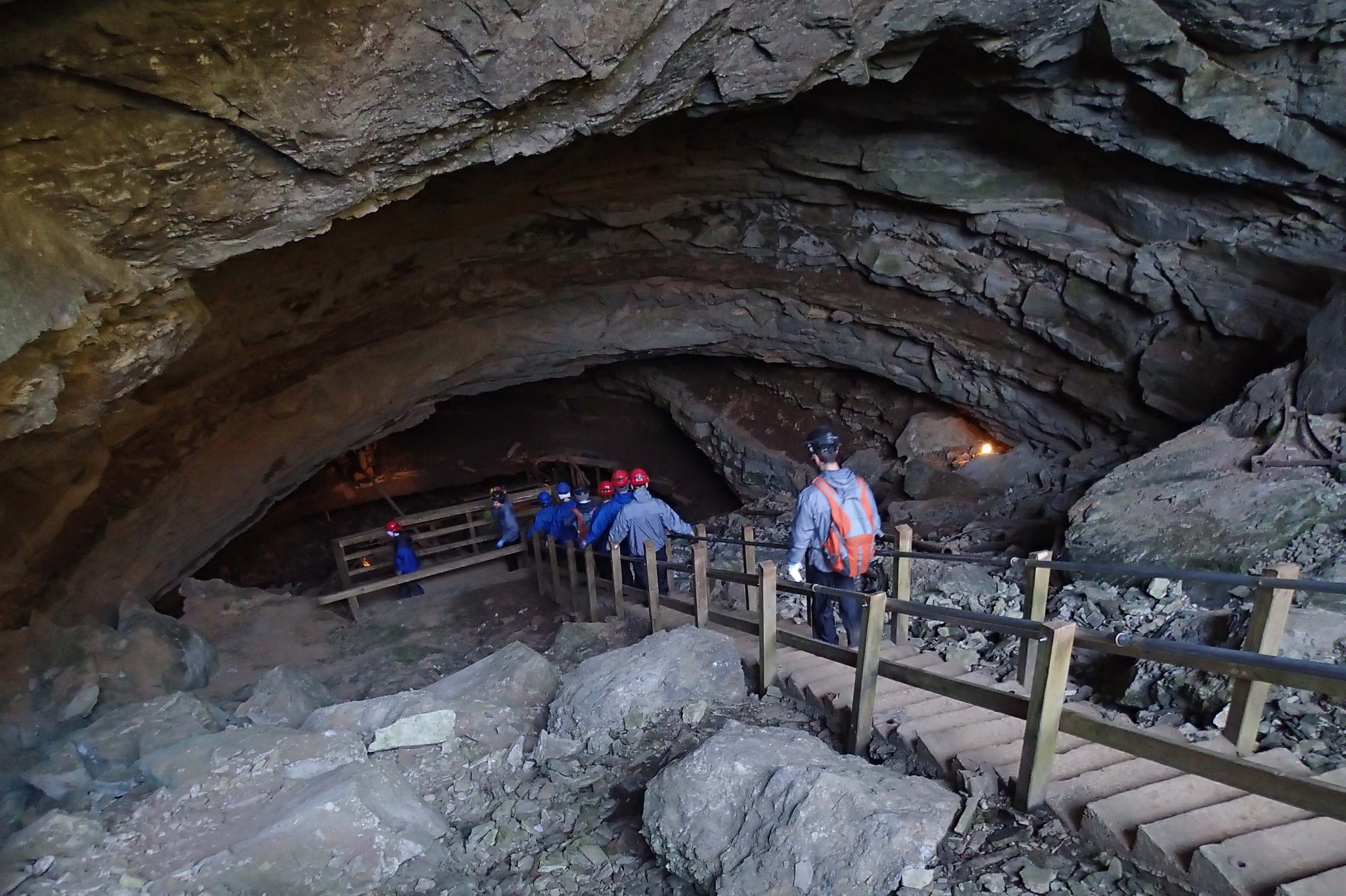 Mammoth Caves extended trip, November 19–22 - News - Illinois State
