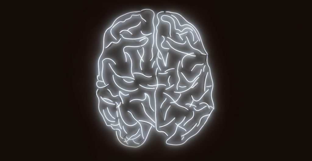 image scan of the human brain