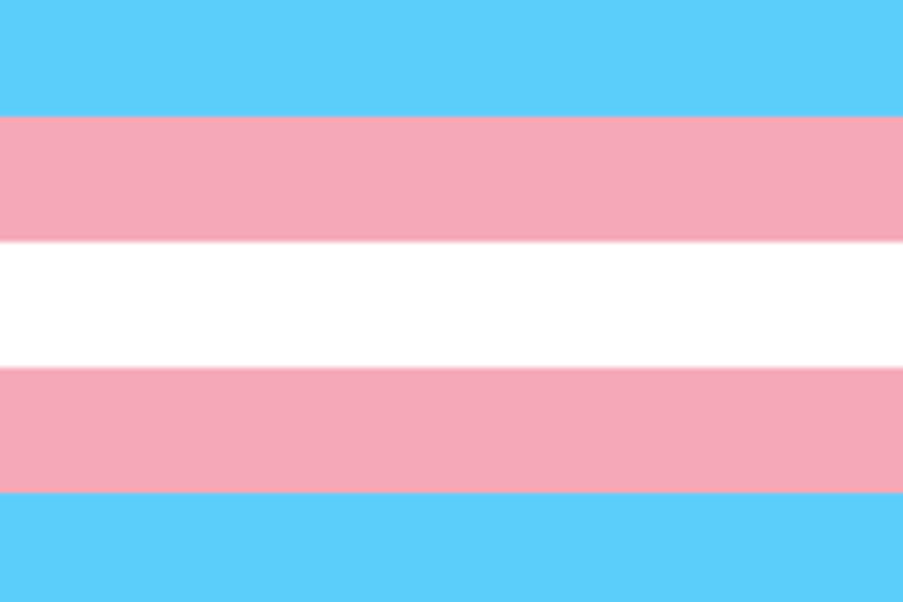Transgender Awareness Flag