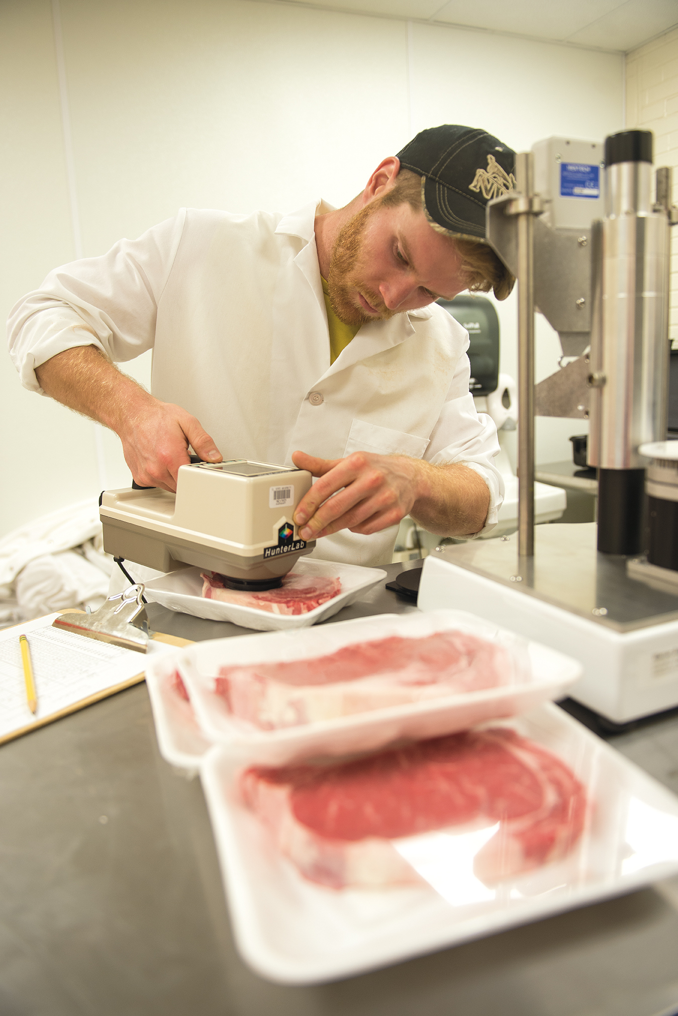 Parmenter uses a colorimeter to measure the color of the rib-eye steaks produced by the cattle. The researchers checked the steaks’ color four times in seven days to measure the color changes the steaks would undergo in a retailer’s case.