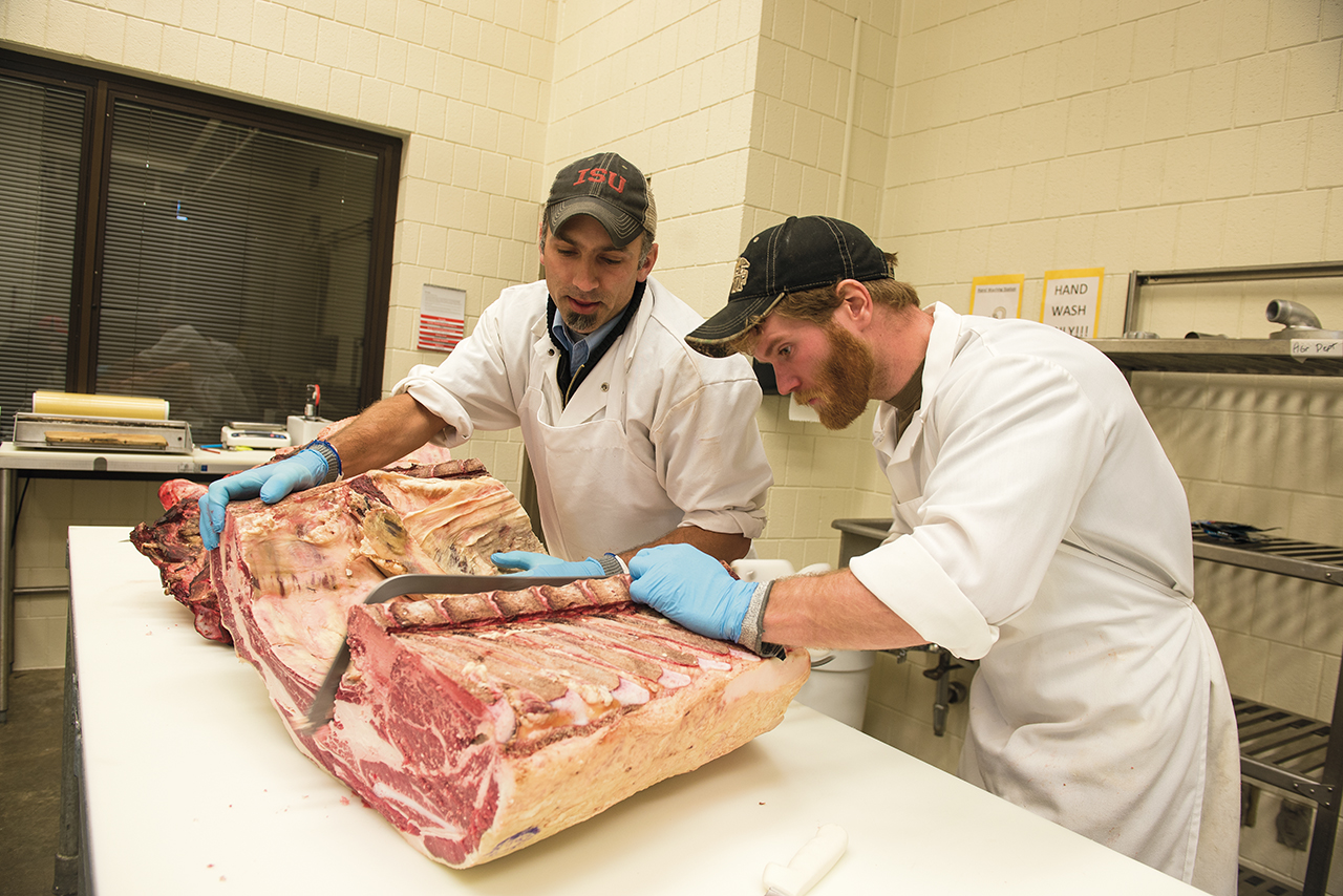 After measuring the carcasses of the cattle at the packing plant, Rickard and Parmenter—inside the meat lab at the Ropp Agriculture Building—bought back some of the meat in order to further analyze it. Here, they debone and strip meat from 25-pound rib rolls.