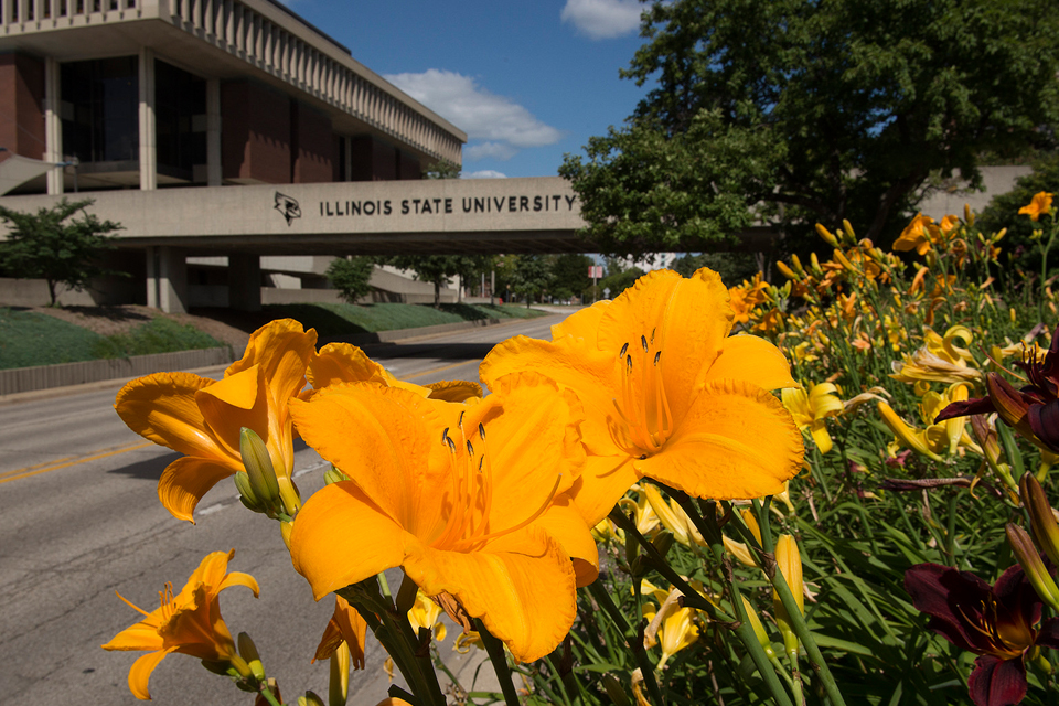 campus bridge flower in foreground