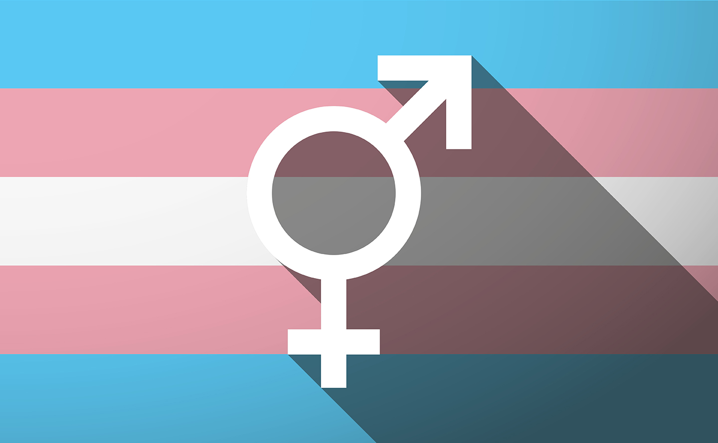 image of a transgender flag and symbol