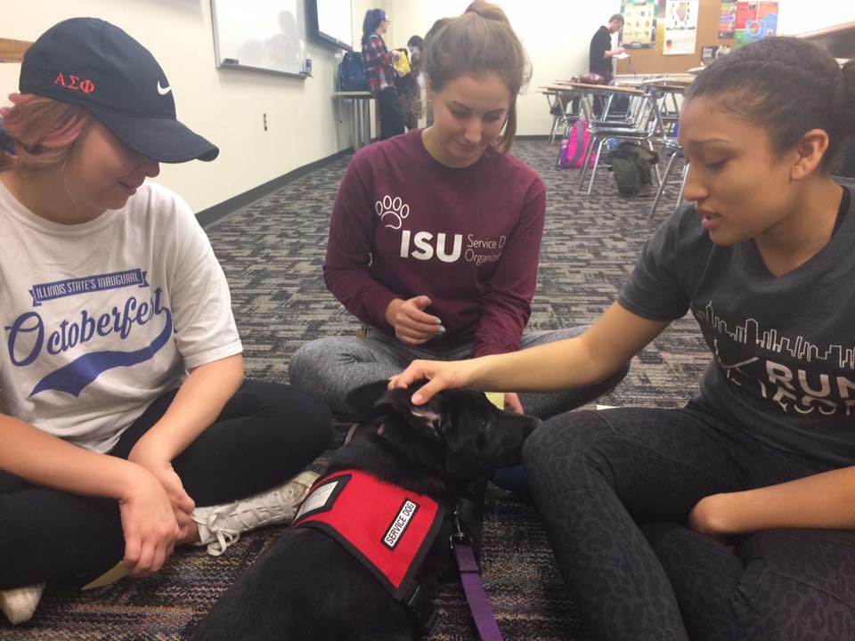 image of students with a service dog