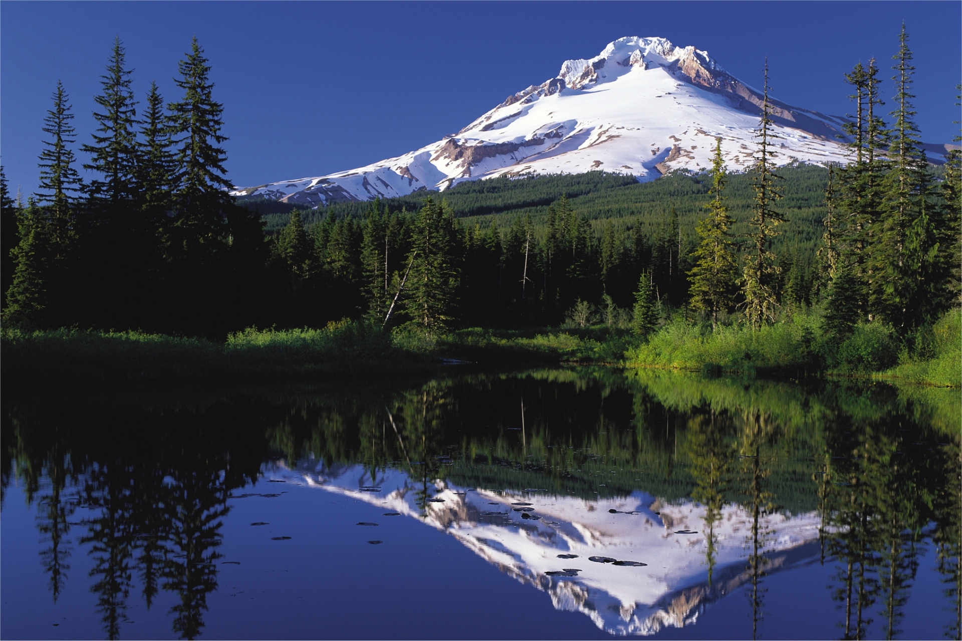Mt. Hood reflected in a lake