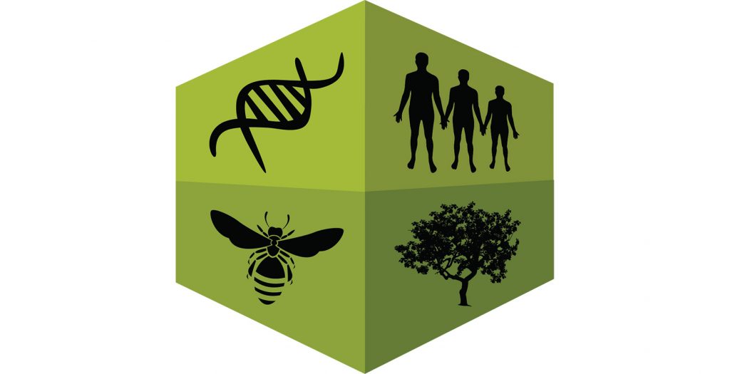 logo of DNA, people, bee and tree