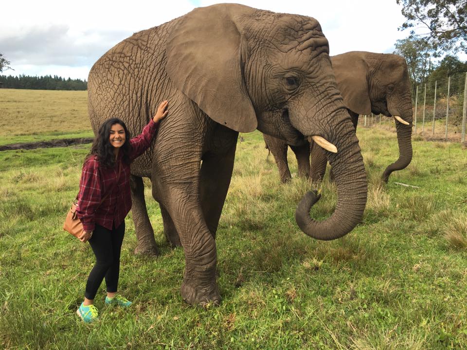 Student studying in South Africa poses next to an elephant.