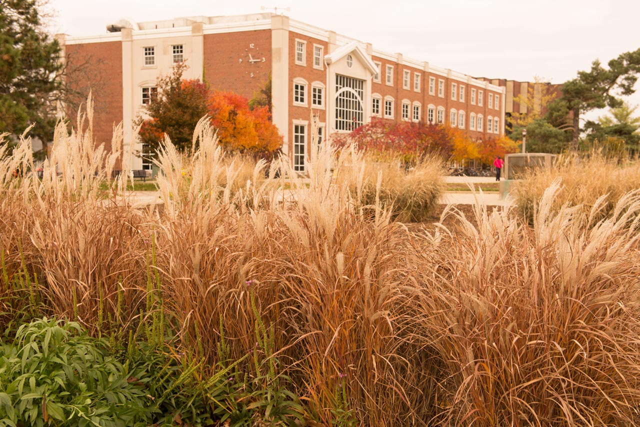 Fall on ISU's Campus