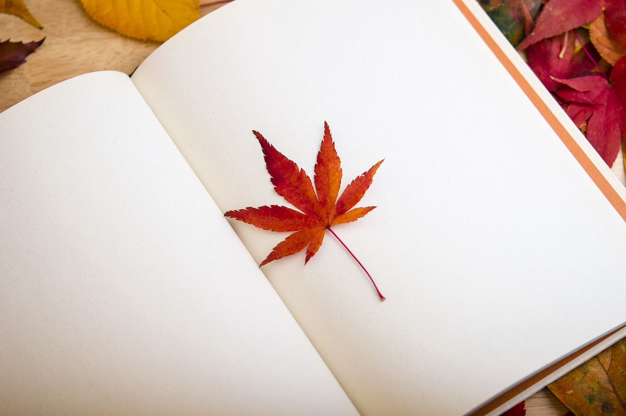 white pages in a book with maple leaf