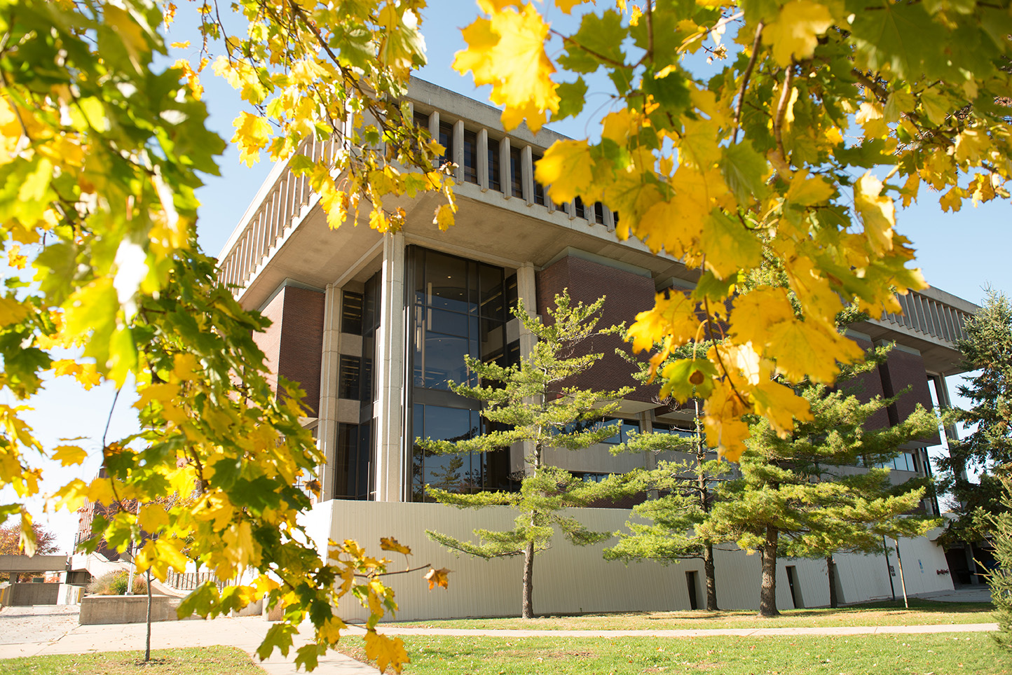 Milner Library seen through trees turning to a golden yellow in fall
