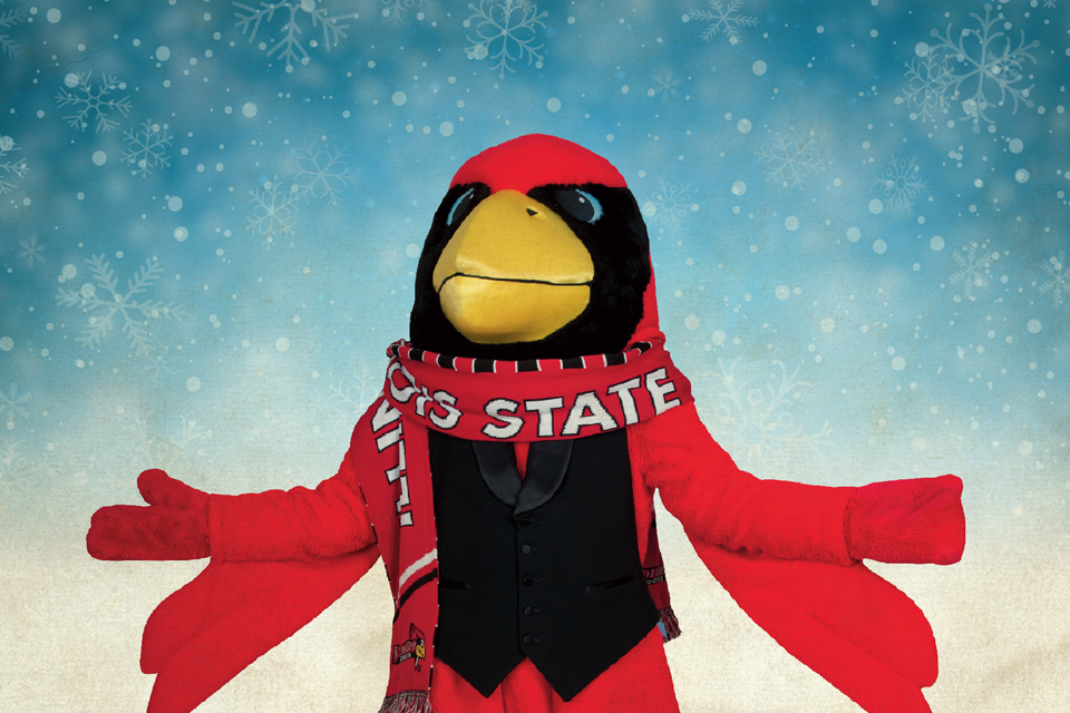 Reggie Redbird in scarf and snow