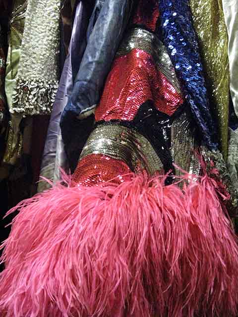 close up of feathers and sequence of costumes
