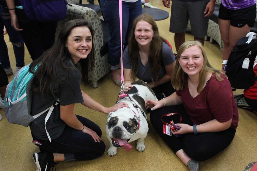 Students and therapy dog Bessie