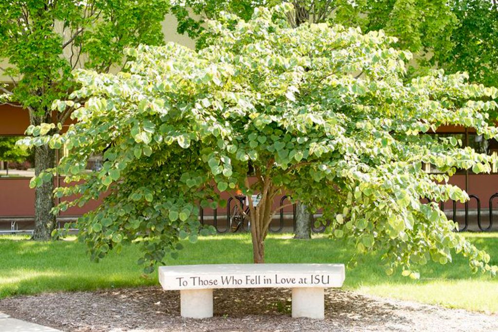 the love bench on the quad
