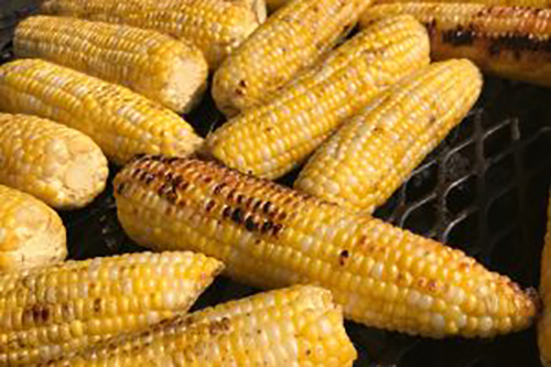 Locally grown corn on a grill