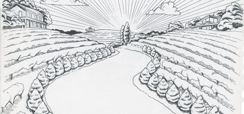 Drawing of a wine trail