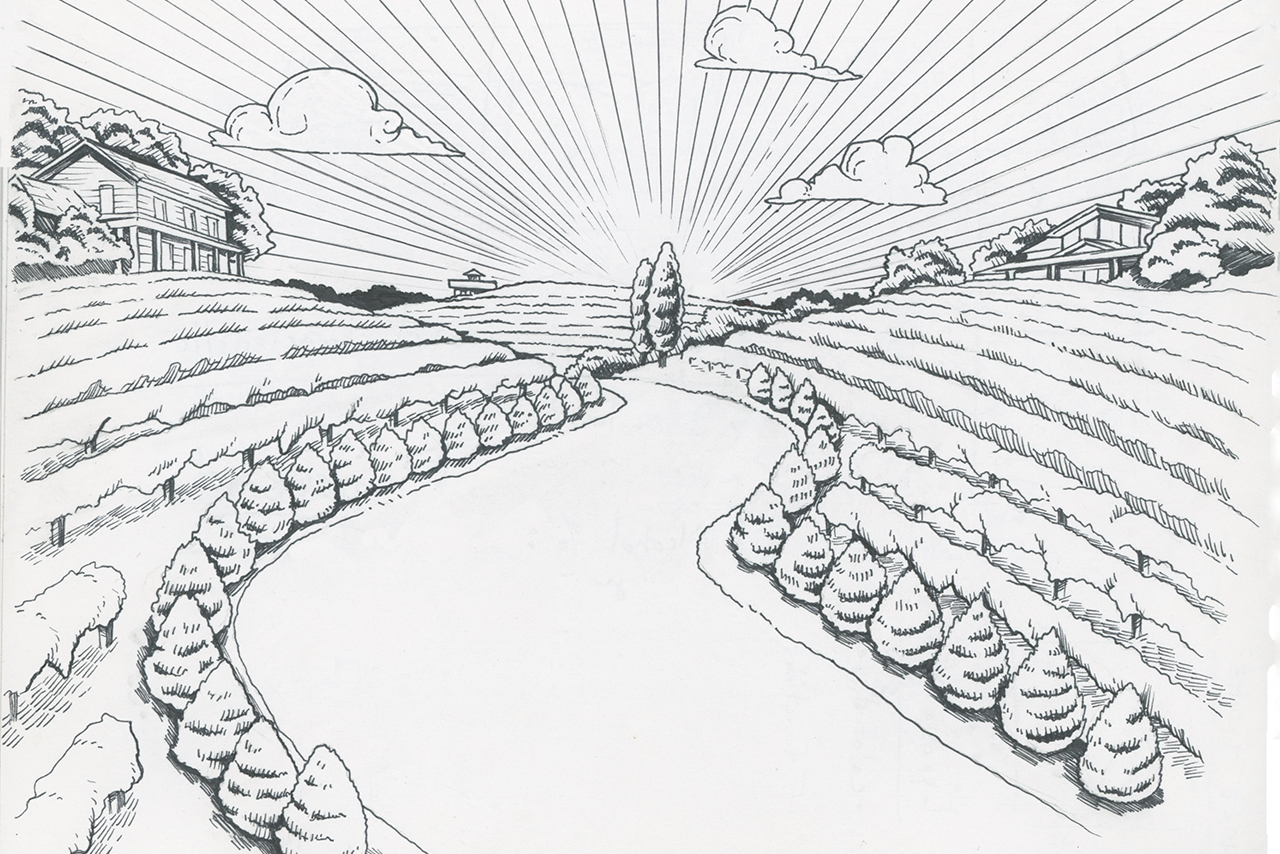 Drawing of a wine trail