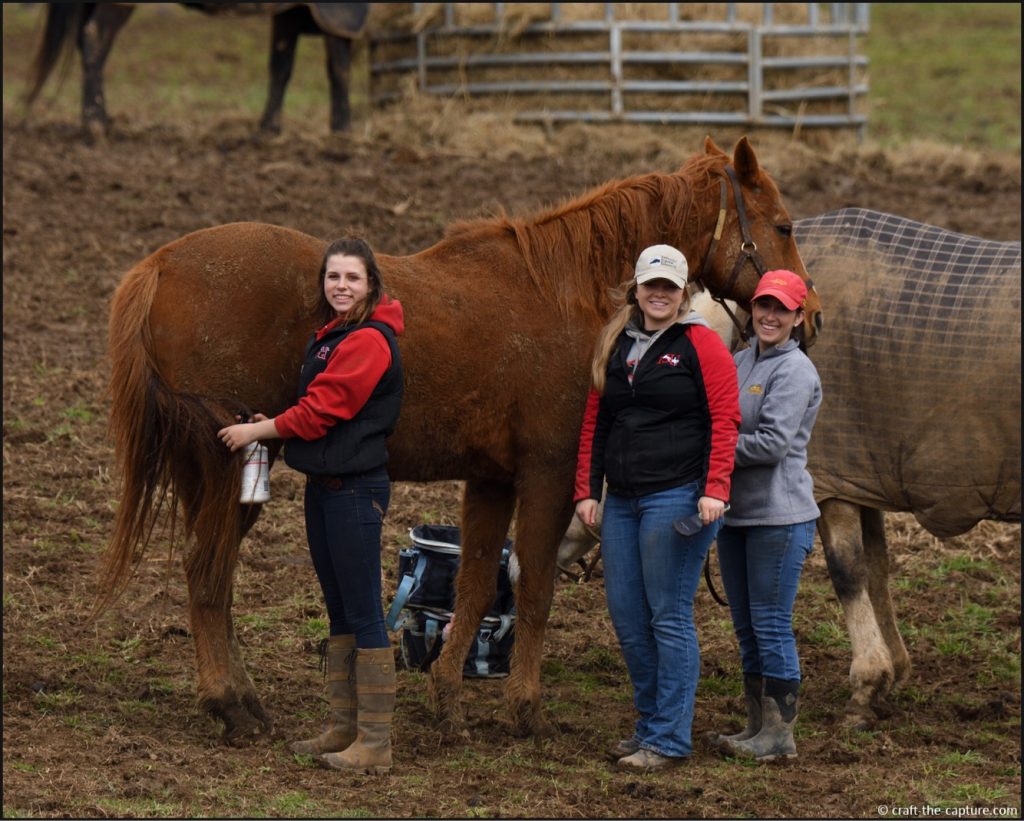 Emma Nicholas and Mariah Dietz at the Kentucky Equine Management Internship program