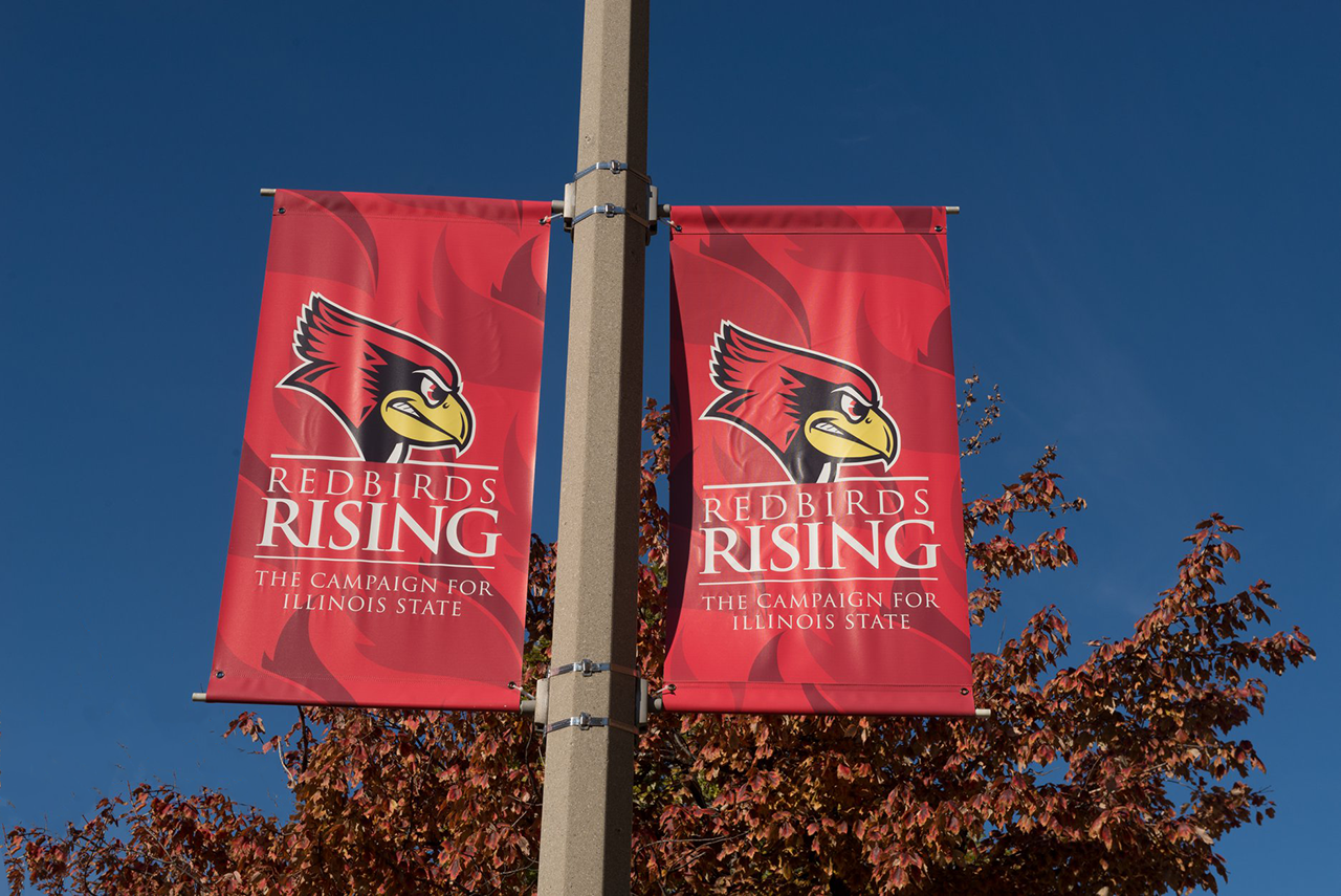 Redbirds Rising Banners on lamp posts