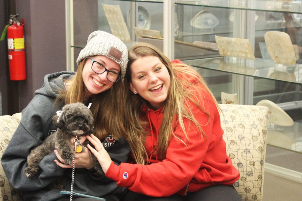 Smiling students posing with therapy dogs