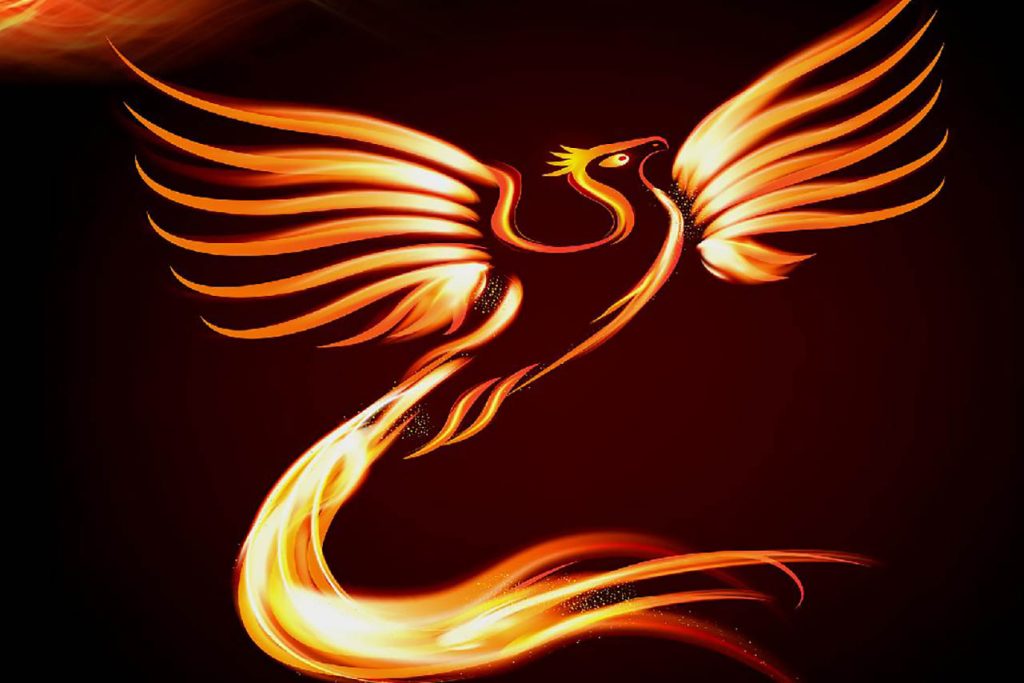 Image of a Firebird from the concert poster.