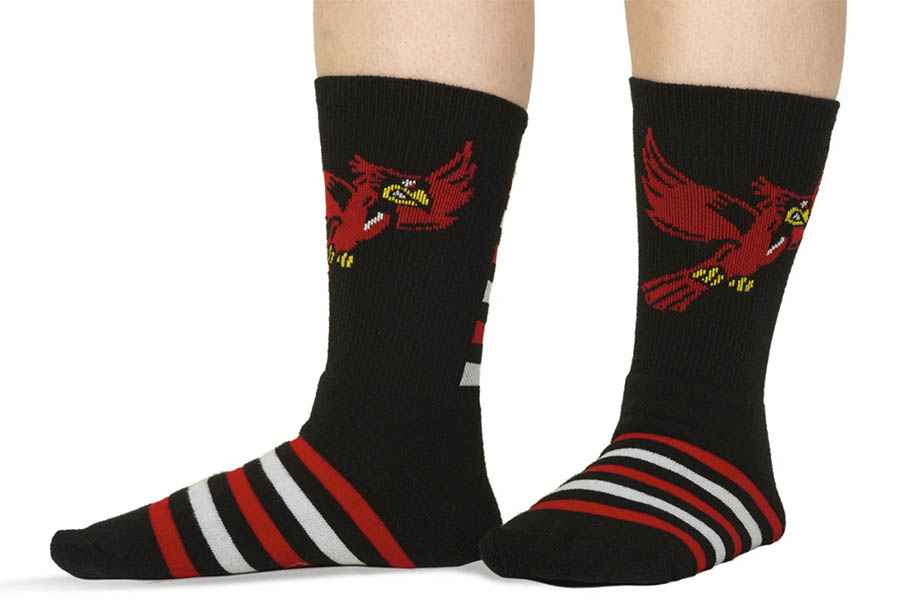 2019 Redbird Socks for Scholarship