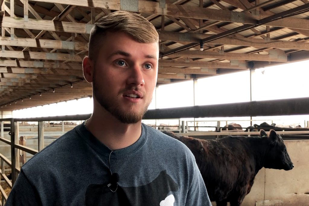 Illinois State agriculture transfer student Wade Hutchens stands in cow barn at University Farm