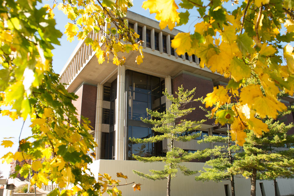 Fall leaves in front of Miner Library