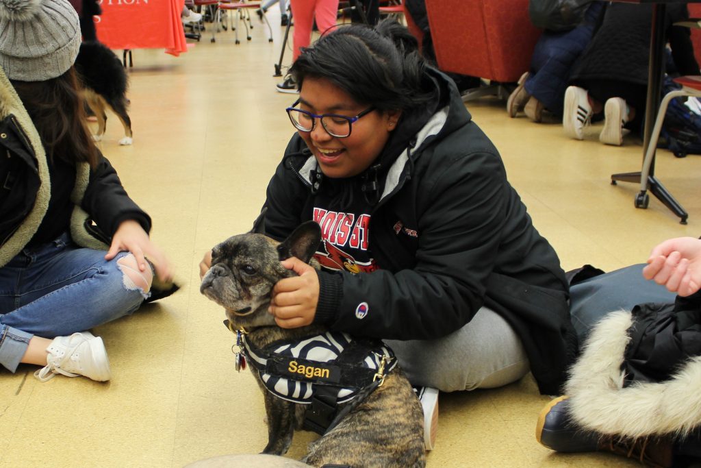 Student with therapy dog