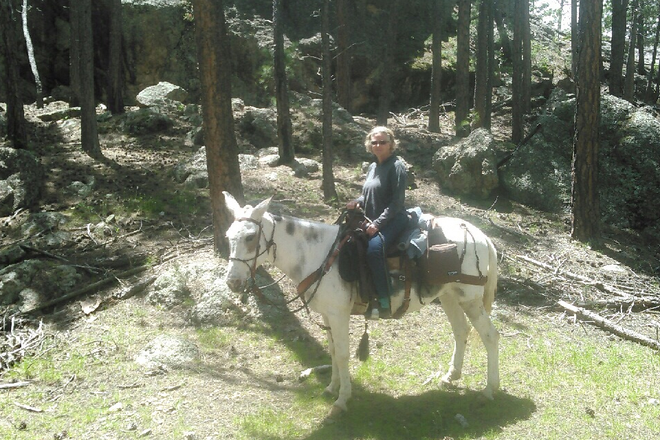 woman riding mule