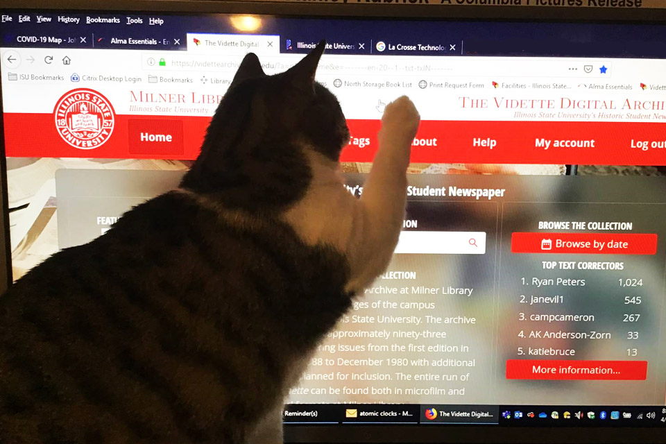 Cat pawing website
